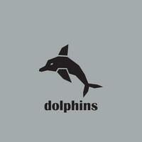 dolphin vector illustration