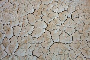 Dry cracked earth background. Global warming and climate change concept. photo