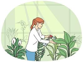 Woman watering houseplants at home. Female gardener take care of plants in indoors greenhouse or garden. Hobby and horticulture. Vector illustration.