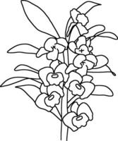 sketch of orchid flower vector