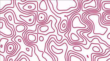 magenta red color abstract pattern with animation of morphing line as topographic map video