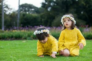 hermosa pequeño hermanas vestido en amarillo jugando y teniendo divertido al aire libre. felicidad concepto. familia concepto foto