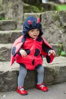 Little baby girl wearing a ladybug costume. Halloween concept. photo