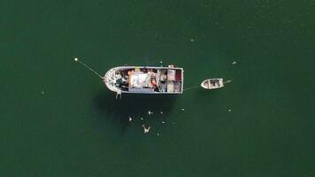 Top down view of two unidentifiable fishermen inside an old wooden fishing boat with seagulls circling above - captured in Cascais, Portugal video