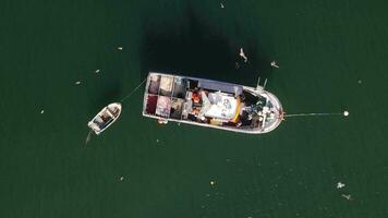 superiore giù Visualizza di Due non identificabile pescatori dentro un vecchio di legno pesca barca con gabbiani girando sopra - catturato nel cascais, Portogallo video