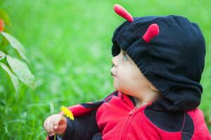 Little baby girl wearing a ladybug costume. Halloween concept. photo