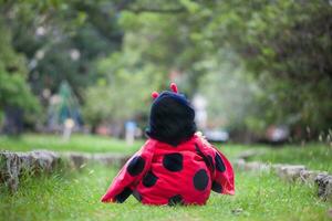 Little baby girl wearing a ladybug costume. Halloween concept. photo