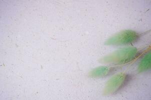 beautiful bunny tail on a grey background for copy space or background photo