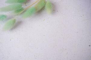beautiful bunny tail on a grey background for copy space or background photo