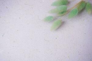 beautiful bunny tail on a grey background for copy space or background photo