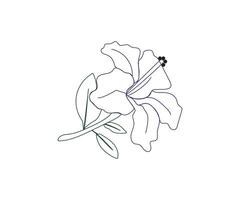 Hibiscus flower drawing line art icon graphics coloring pages for kids free download vector