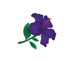 Purple hibiscus flower drawing line art icon graphics coloring pages for kids free download vector