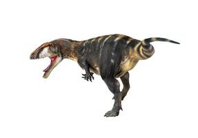 dinosaurio , carcharadontosaurus aislado antecedentes foto