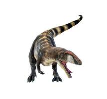 dinosaurio , carcharadontosaurus aislado antecedentes foto