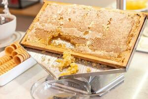 Honeycomb in a stainless steel box in a restaurant on a buffet table photo