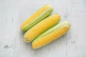 Corn. Fresh corn on white concrete board photo