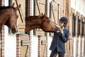 Excited horse welcomes its female equestrian in helmet and uniform, with its head out of stable photo