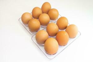 eggs in a plastic tray on a white background, top view photo