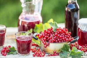 A selection of redcurrant products - marmalade jam syrup must and red vine on table in garden photo
