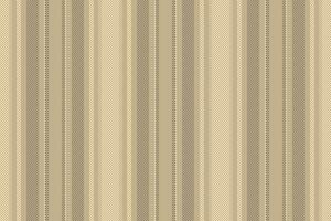 Seamless fabric background of stripe texture pattern with a textile lines vertical vector. vector