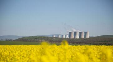 Nuclear or thermal power plant chimneys with a field of yellow rapeseed in front of them photo