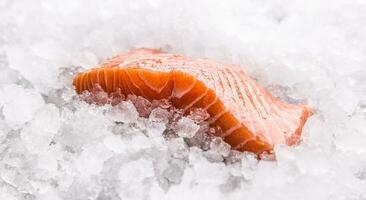 salmón filetes en porciones en hielo y vacío cocina tablero foto