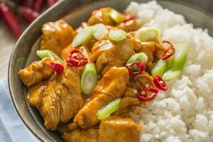 Chicken curry rice chili and young onion in bowl photo