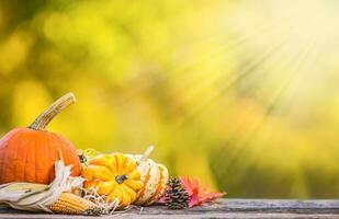 Autumn concept. Pumpkins, corncobs and leaves in garden on wooden background photo