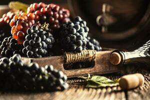 Just ripe grapes placed loose in a wooden box, in the background a wine barrel and a bottle of red wine photo