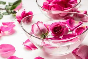 Pink roses and petals in bowl with pure water. Spa and wellness concept photo