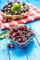 Ripe sweet cherries on blue woden table with water drops photo