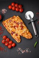 Delicious oven fresh flatbread pizza with cheese, tomatoes, sausage, salt and spices photo