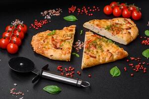 Delicious oven fresh flatbread pizza with cheese, tomatoes, sausage, salt and spices photo