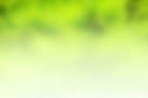 Green summer blurred abstract background photo