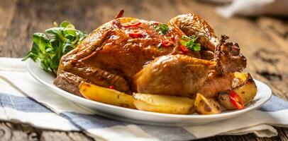 Roasted chicken and american potatoes with chili peppers and herbs photo