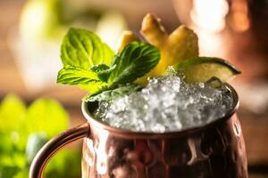 Moscow Mule highball cocktail and a long vodka drink with fresh lime, ginger beer, and mint photo