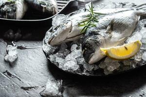 Raw mediterranean fish bream in ice with rosemary and lemon photo