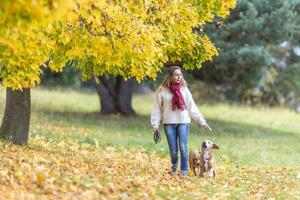 A young woman in an autumn outfit is walking two dogs in the park photo