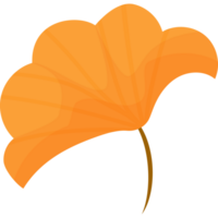 autumn yellow leaf png