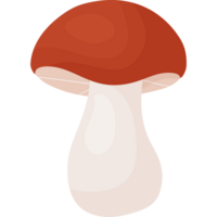 Wald Herbst Pilz png