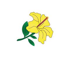 Yellow hibiscus flower drawing line art icon graphics coloring pages for kids free download vector