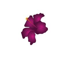 Magenta hibiscus flower drawing line art icon graphics coloring pages for kids free download vector