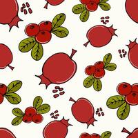 seamless pattern colored doodle fruits cranberry and pomegranate on white - summer and autumn background, vector illustration. For packaging, textiles, wallpapers, web design