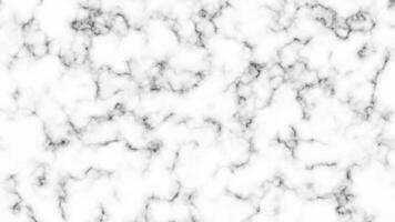 White marble texture background vector