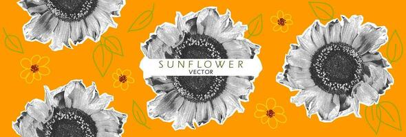 Sunflowers halftone collage set vector illustration