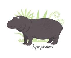 Animal hippopotamus isolated on white background. Tropical plants. Vector flat illustration