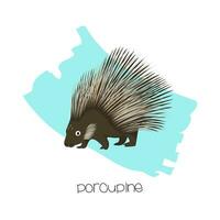 Porcupine in the background with a brushstroke. Vector image of a flat animal. Isolated on white background