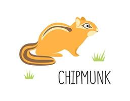 Vector flat illustration of wild forest animal, chipmunk. Illustration isolated on white background.