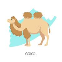 Camel in the background with a brushstroke. Vector image of a flat animal. Isolated on white background