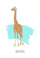 Giraffe in the background with a brushstroke. Vector image of a flat animal. Isolated on white background